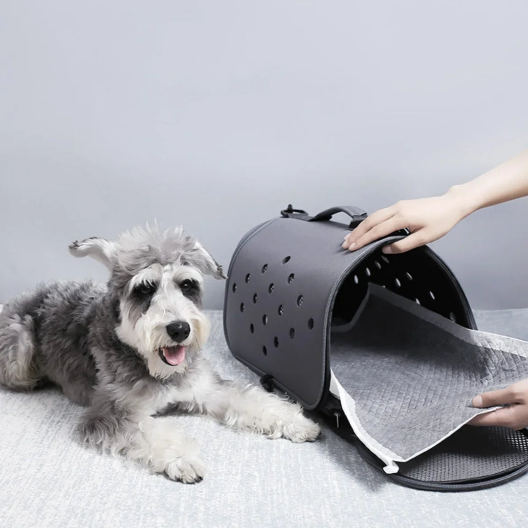 100/50/40/20PCS Absorbent Dogs Disposable Puppy Training Pee Pads Quick Dry Bamboo Charcoal Surface Mat Clean Cushion - Ditzy Petunia