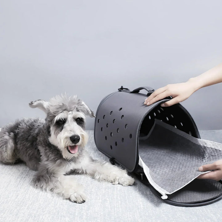 100/50/40/20PCS Absorbent Dogs Disposable Puppy Training Pee Pads Quick Dry Bamboo Charcoal Surface Mat Clean Cushion - Ditzy Petunia