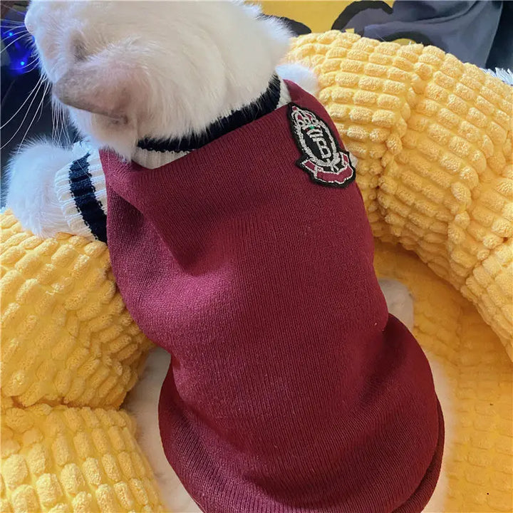 🐶 Cozy Knitted Dog Sweater – Soft &amp; Stylish Winter Pet Outfit - Ditzy Petunia
