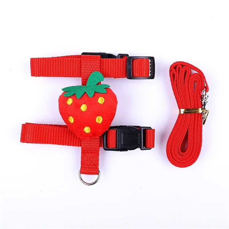 Cute Small Animal Harness &amp; Leash Set – Adorable Fruit-Themed Designs