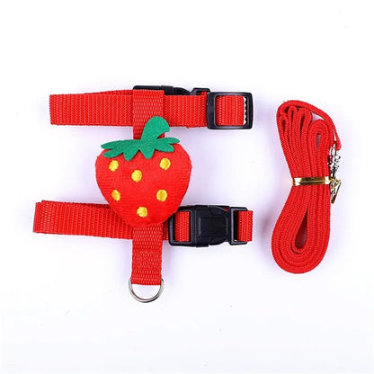 Cute Small Animal Harness & Leash Set – Adorable Fruit-Themed Designs