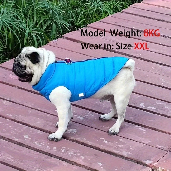 Winter Warm Dog Coat Jacket – Windproof Pet Clothes for Small Dogs and Cats - Ditzy Petunia