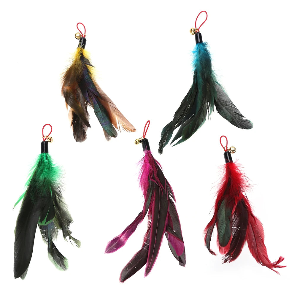 🐾 5-Pack Cat Teaser Wand Replacement Feather Toys