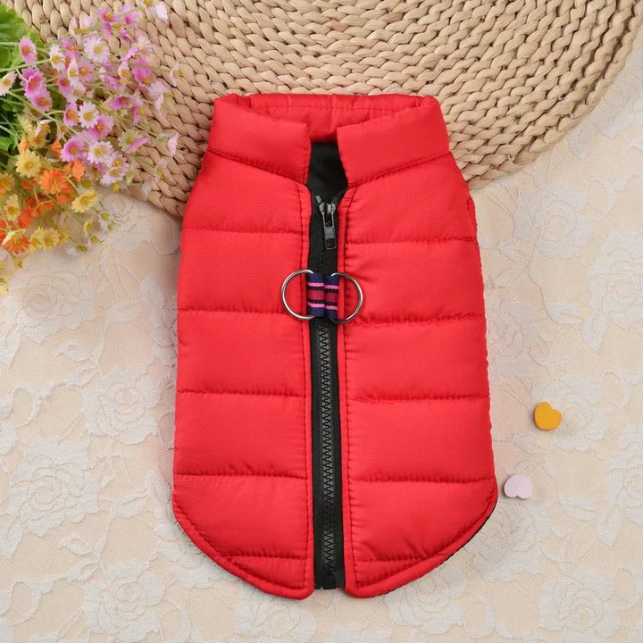 Winter Warm Dog Coat Jacket – Windproof Pet Clothes for Small Dogs and Cats - Ditzy Petunia