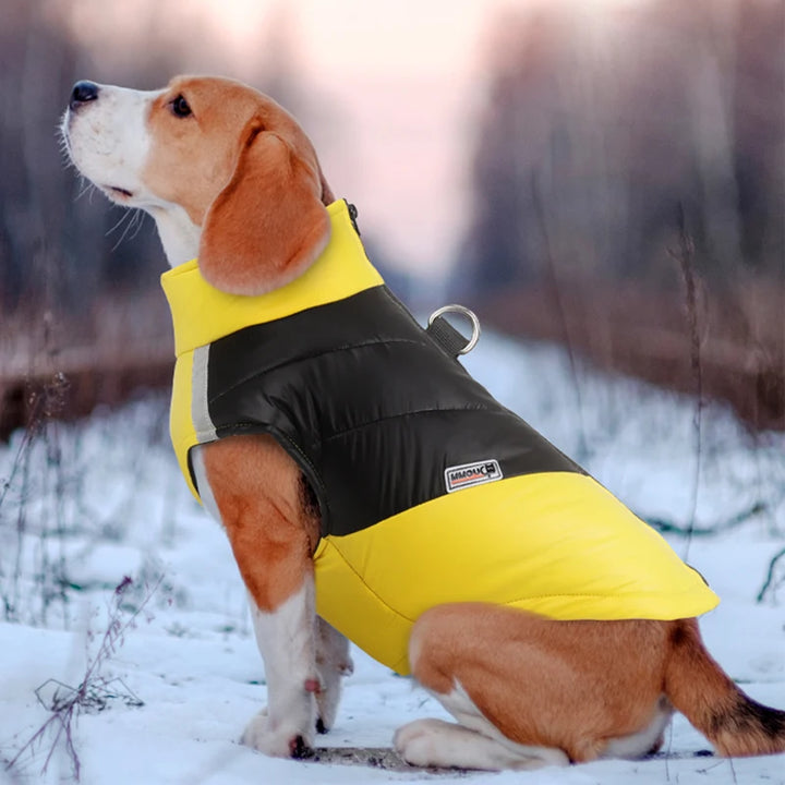 Waterproof Dog Coat – Reflective Winter Jacket for Small &amp; Large Dogs, Poodle, French Bulldog, Labrador, Pug - Ditzy Petunia