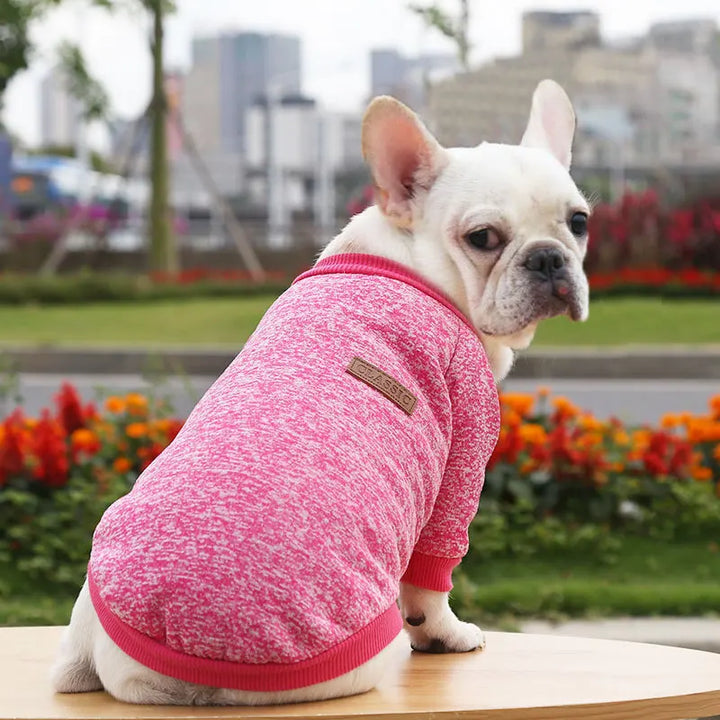 🐶 Cozy Autumn Dog Sweatshirt – Warm Pet Jacket for Small &amp; Medium Dogs - Ditzy Petunia