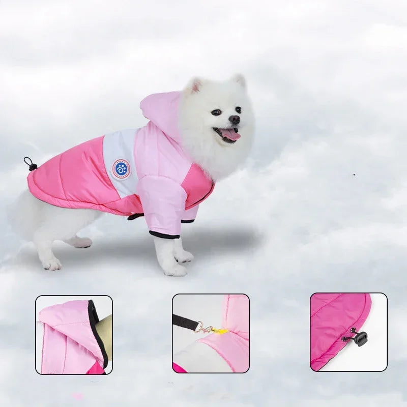 Winter Dog Jacket Coat | Warm Waterproof Pet Clothes for Small, Medium &amp; Large Dogs | Polyester Dog Winter Coat - Ditzy Petunia