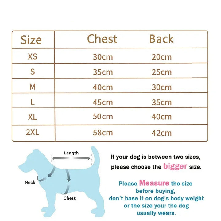 Winter Dog Clothes – Cute Puppy Warm Pullover Sweatshirt with Bear Pattern | Pet Jacket for Small &amp; Medium Dogs, Cats | Chihuahua Costume Coat Ditzy Petunia