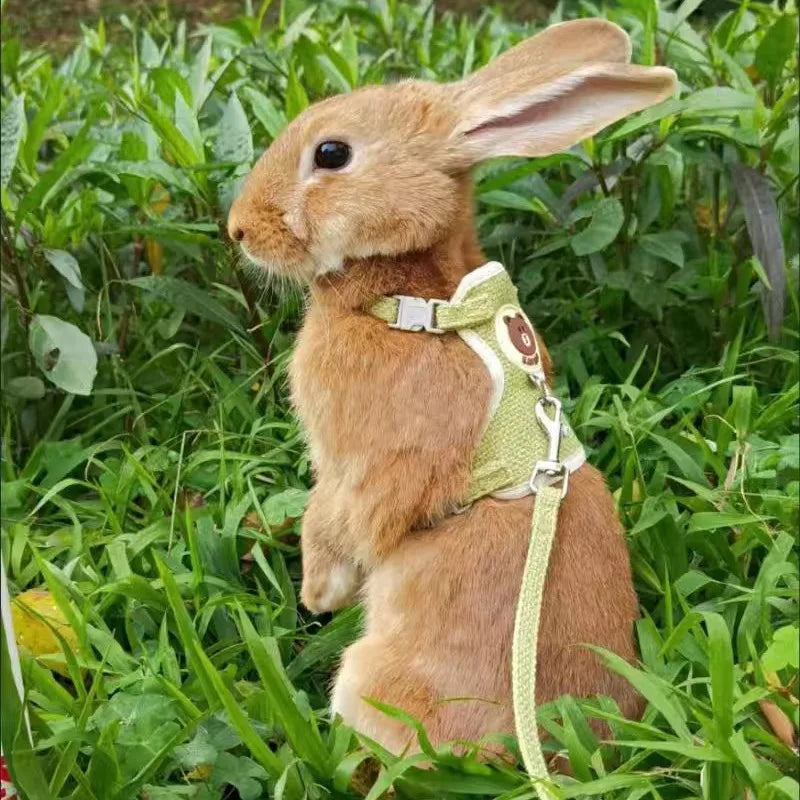 Cute Rabbit Harness &amp; Leash Set – Soft &amp; Secure Bunny Vest for Outdoor Adventures - Ditzy Petunia