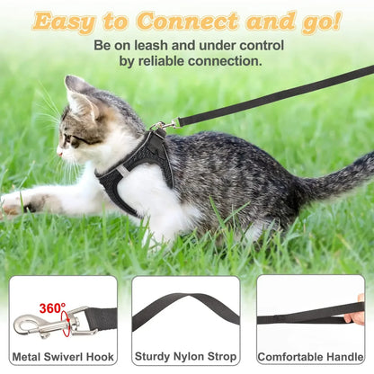 Reflective Nylon Cat Collar – Breakaway Safety with Quick Release Buckle