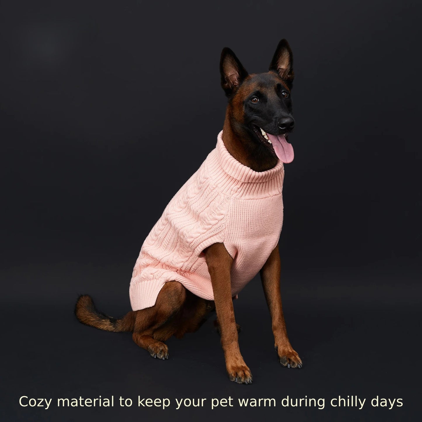Cozy Acrylic Dog Sweater – Warm, Lightweight & Stylish for Cooler Seasons