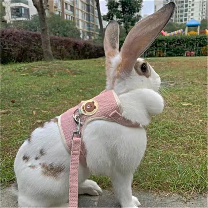 Cute Rabbit Harness &amp; Leash Set – Soft &amp; Secure Bunny Vest for Outdoor Adventures - Ditzy Petunia