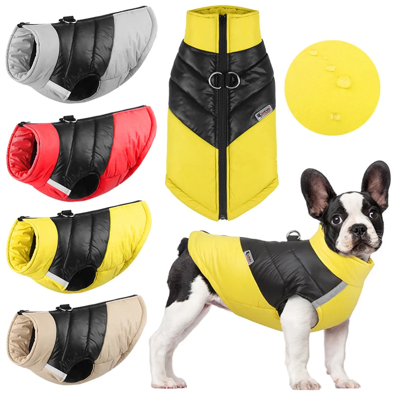 Waterproof Dog Coat – Reflective Winter Jacket for Small & Large Dogs, Poodle, French Bulldog, Labrador, Pug - Ditzy Petunia