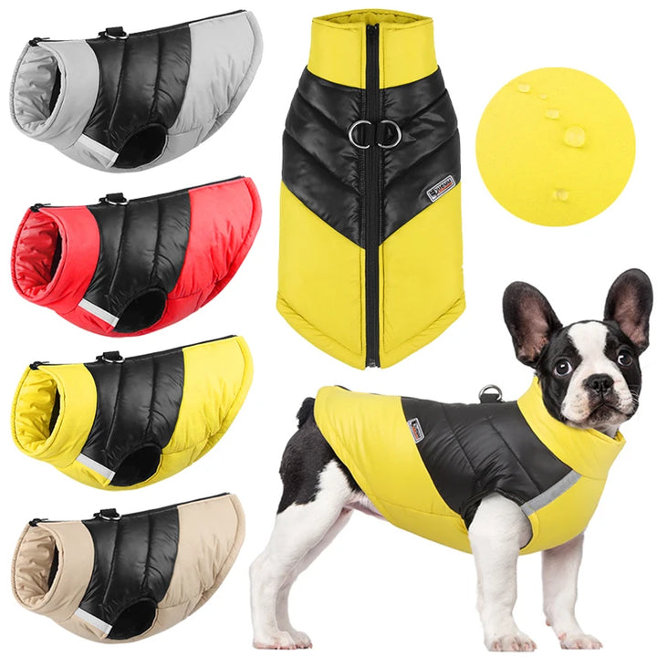 Waterproof Dog Coat – Reflective Winter Jacket for Small &amp; Large Dogs, Poodle, French Bulldog, Labrador, Pug - Ditzy Petunia