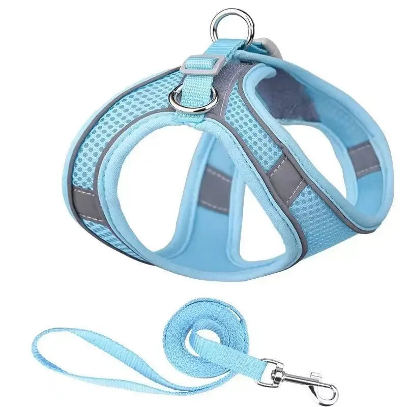 Reflective Dog Harness and Leash Set - Soft, Comfortable, Breakaway Design for Safe Walks Ditzy Petunia