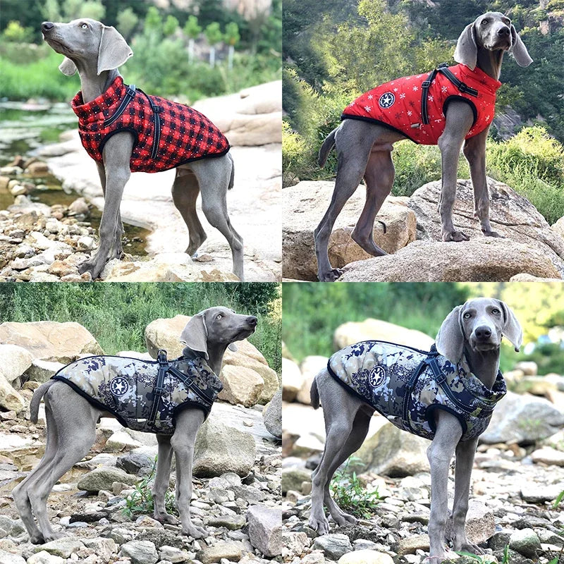 Waterproof Dog Jacket with Harness - Winter Warm Coat for Small to Large Dogs Ditzy Petunia