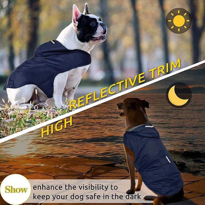 Waterproof Dog Raincoat with Hood | Reflective Pet Rain Poncho for Small &amp; Large Dogs | Raincoat for Chihuahua, Husky &amp; More - Ditzy Petunia