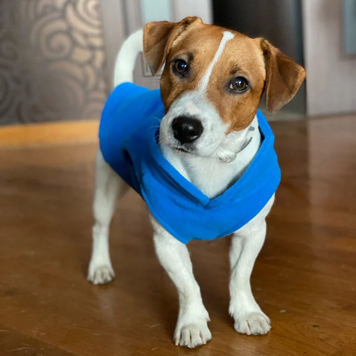 Winter Fleece Dog Clothes – Warm Puppy Coat for Small &amp; Medium Dogs - Ditzy Petunia