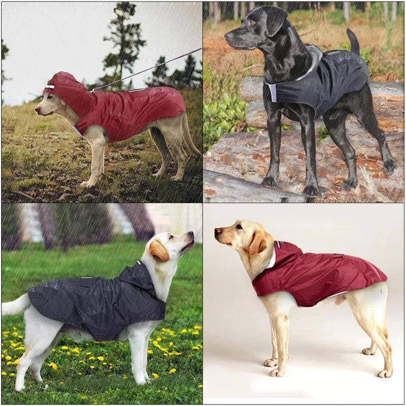Waterproof Dog Raincoat with Hood | Reflective Pet Rain Poncho for Small &amp; Large Dogs | Raincoat for Chihuahua, Husky &amp; More - Ditzy Petunia