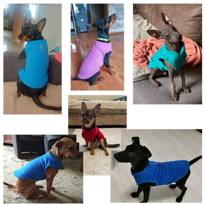 🐶 Cozy Winter Fleece Dog Vest – Warm Jacket for Small Breeds - Ditzy Petunia