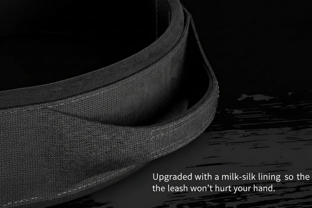 Heavy-Duty Nylon Dog Collar with Handle — Breakaway Safety Design