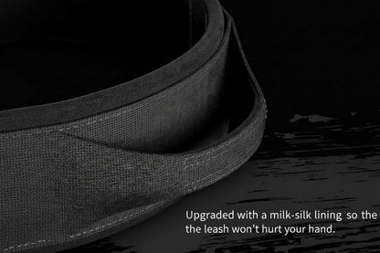 Heavy-Duty Nylon Dog Collar with Handle — Breakaway Safety Design