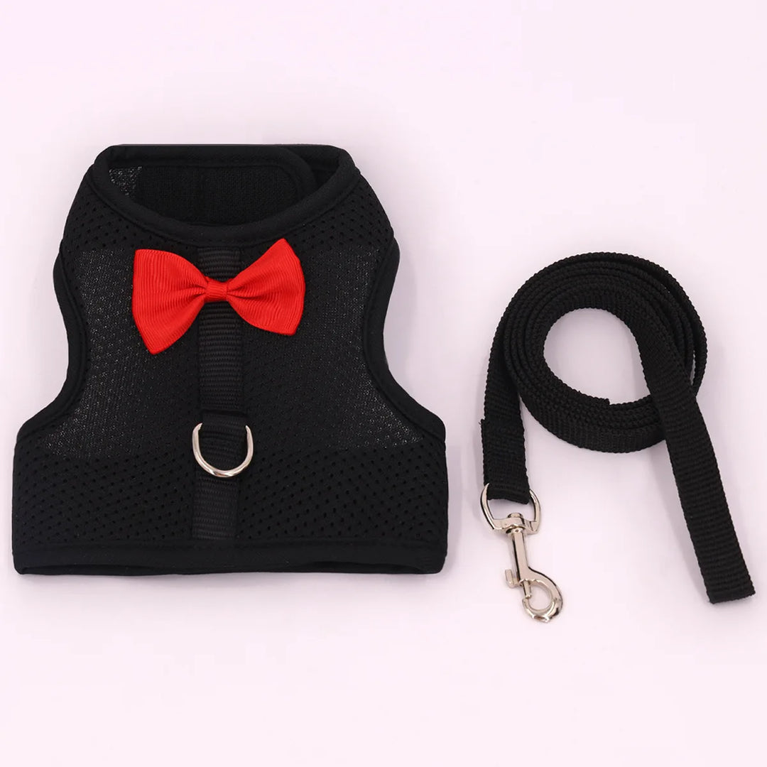 Small Animal Harness &amp; Leash Set – With Cute Red Bow