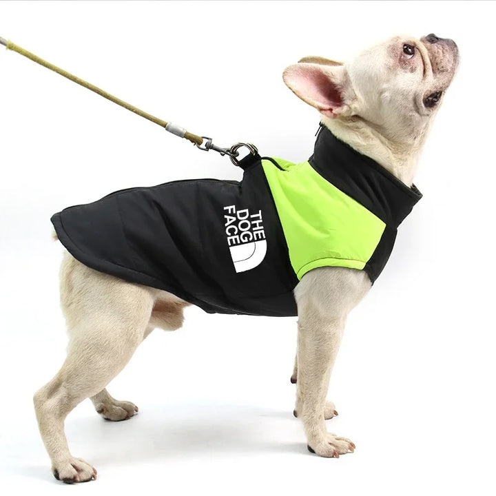 Cozy Cotton Dog Shirt – Printed Autumn &amp; Winter Pet Apparel - Ditzy Petunia