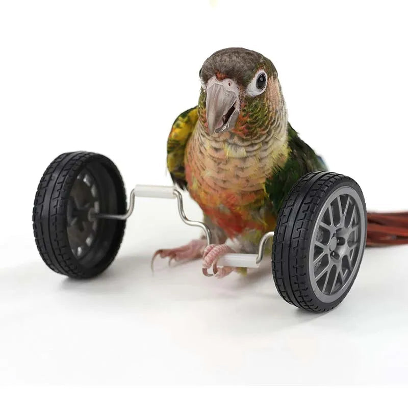 Parrot balance toy, bird intelligence training toy, interactive bird toy, mini parrot toy, small bird balance toy, plastic bird toys, cockatiel training toys, lovebird mental stimulation toys, bird cage accessories, active bird play toys.