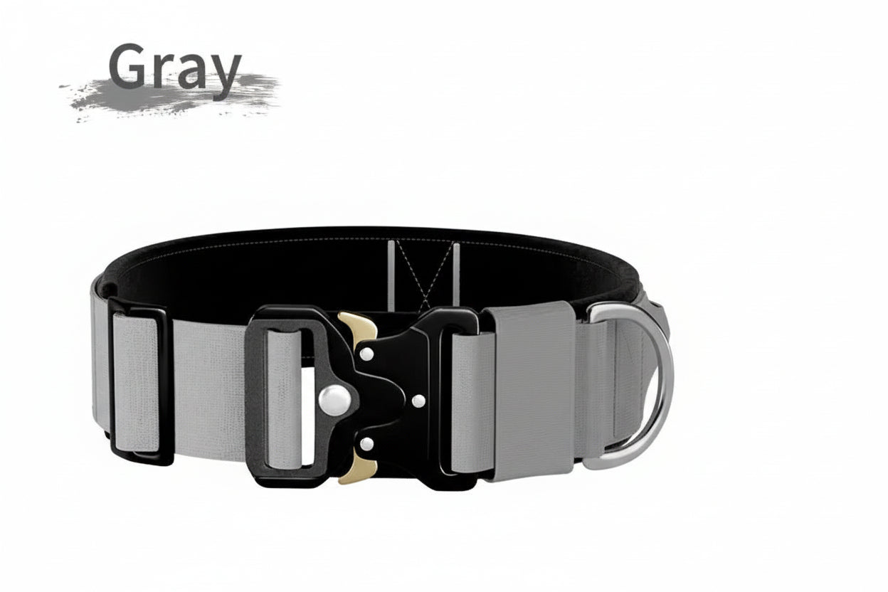 Heavy-Duty Nylon Dog Collar with Handle — Breakaway Safety Design