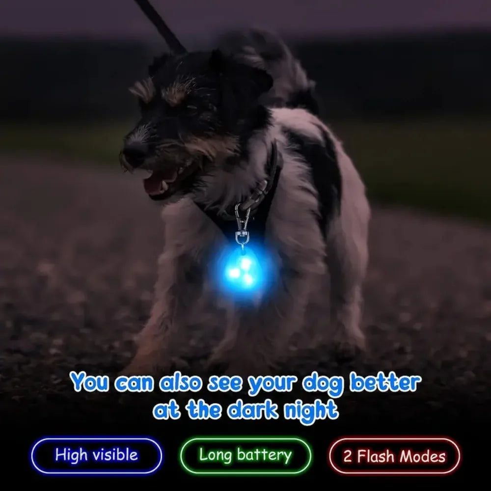 Waterproof LED Dog Collar Light – Silicone Safety Pendant with Replaceable Battery for Night Walks - Ditzy Petunia