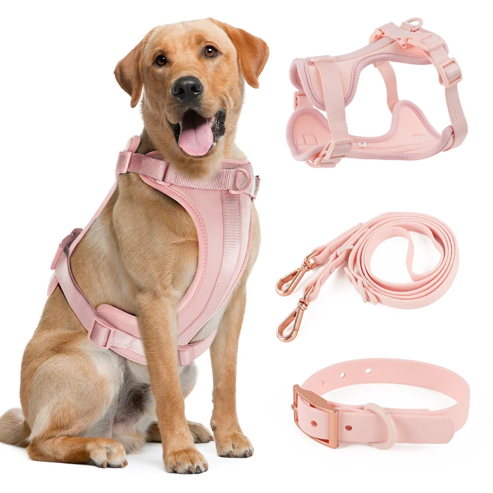 Adjustable Dog Vest Harness with Quick Release – Padded No-Pull Harness for Small to Large Dogs - Ditzy Petunia