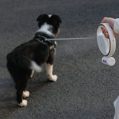 LED Retractable Dog Leash with Built-In Waste Bag Holder – 3M Nylon Lead for Small & Medium Dogs