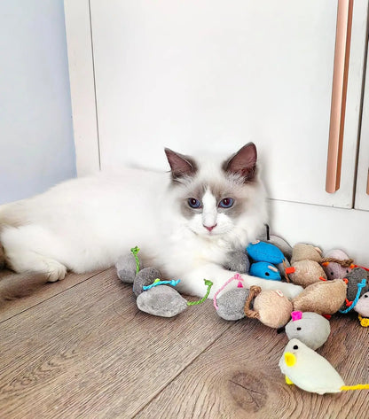 🐭 Plush Catnip Mice Toys – Interactive Feather Mouse Toys for Indoor Cats