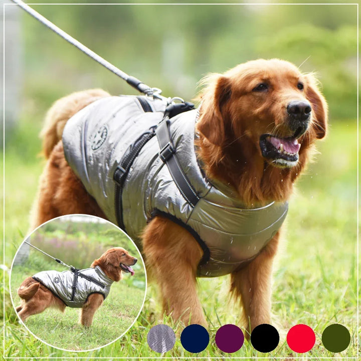 Waterproof Dog Jacket with Harness - Winter Warm Coat for Small to Large Dogs Ditzy Petunia