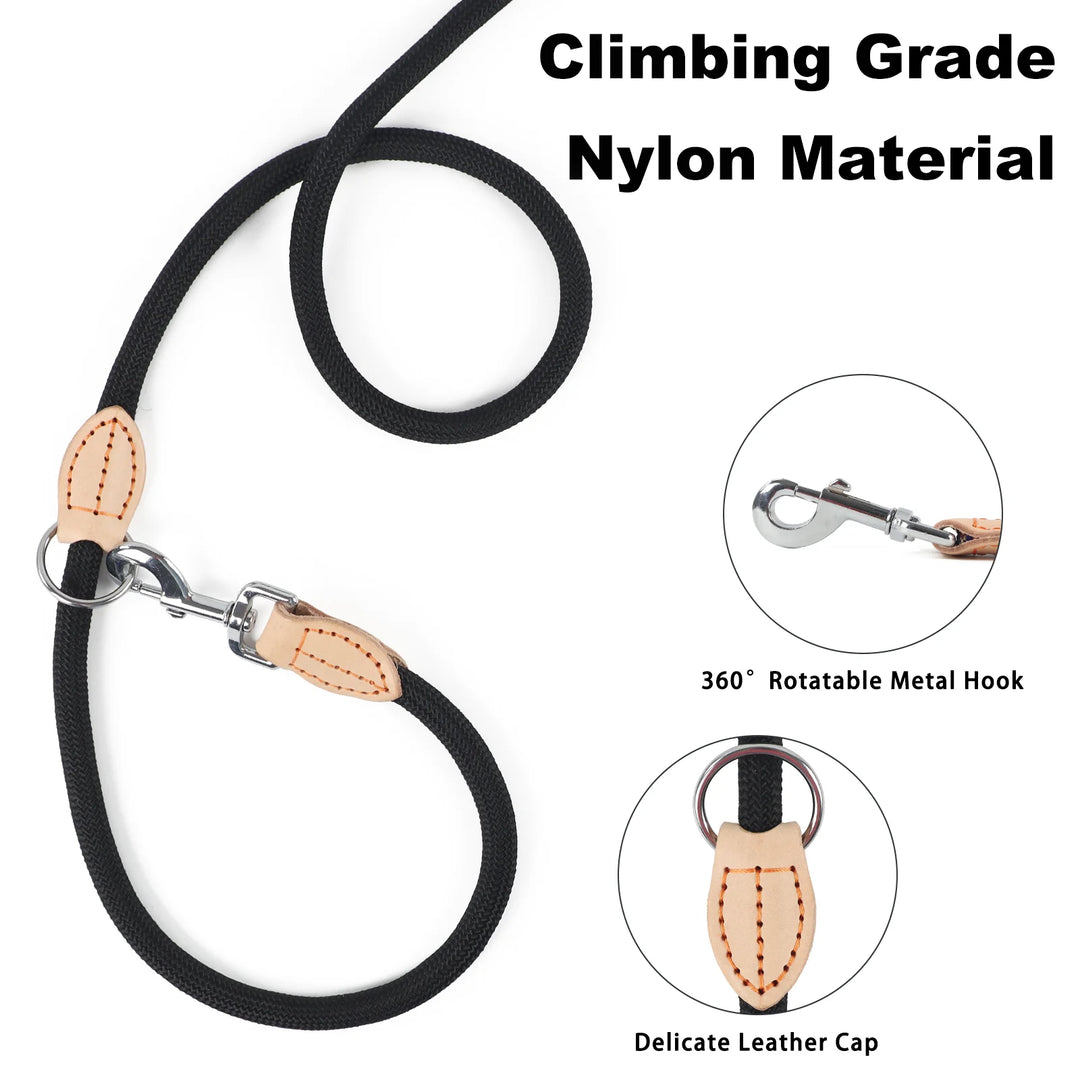 Hands-Free Double Dog Leash – Personalized, Luxury Nylon Leash for Small &amp; Large Dogs - Ditzy Petunia