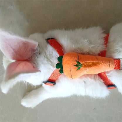 Cute Small Animal Harness & Leash Set – Adorable Fruit-Themed Designs