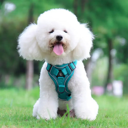 Reflective Adjustable Saddle Dog Harness & Leash Set – No-Pull Halter for Small to Large Dogs
