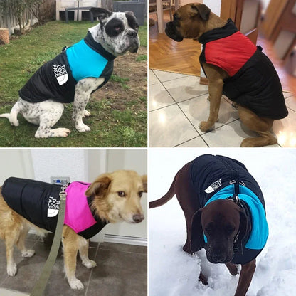Cozy Cotton Dog Shirt – Printed Autumn & Winter Pet Apparel
