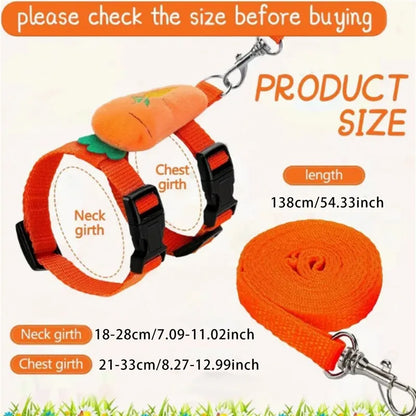 Cute Small Animal Harness & Leash Set – Adorable Fruit-Themed Designs