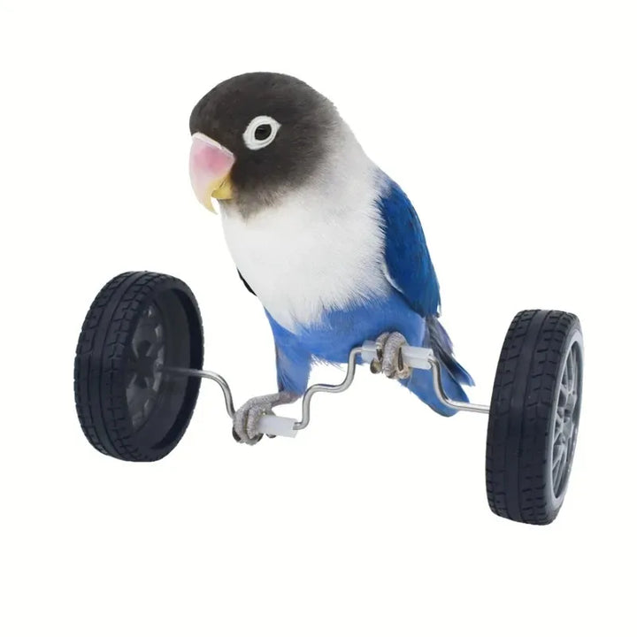 Parrot balance toy, bird intelligence training toy, interactive bird toy, mini parrot toy, small bird balance toy, plastic bird toys, cockatiel training toys, lovebird mental stimulation toys, bird cage accessories, active bird play toys.