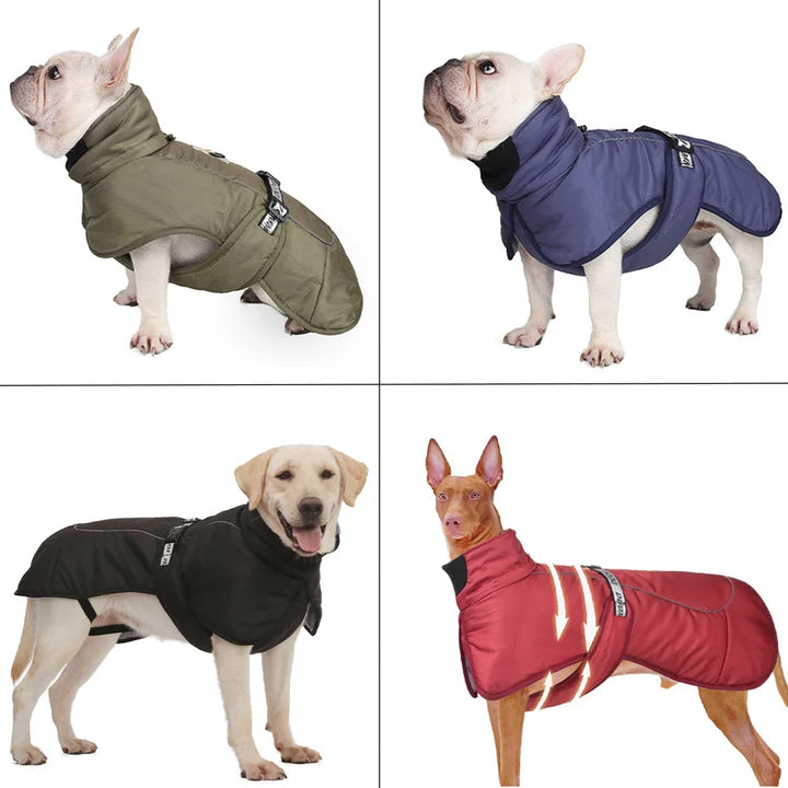 Big Dog Jacket Windproof Winter Warm Dog Clothes for Medium Large Dogs Labrador Coat Golden Retriever Costume Pitbull Outfits - Ditzy Petunia