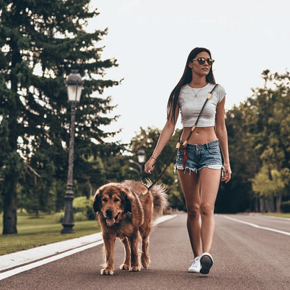 Hands-Free Double Dog Leash – Personalized, Luxury Nylon Leash for Small & Large Dogs