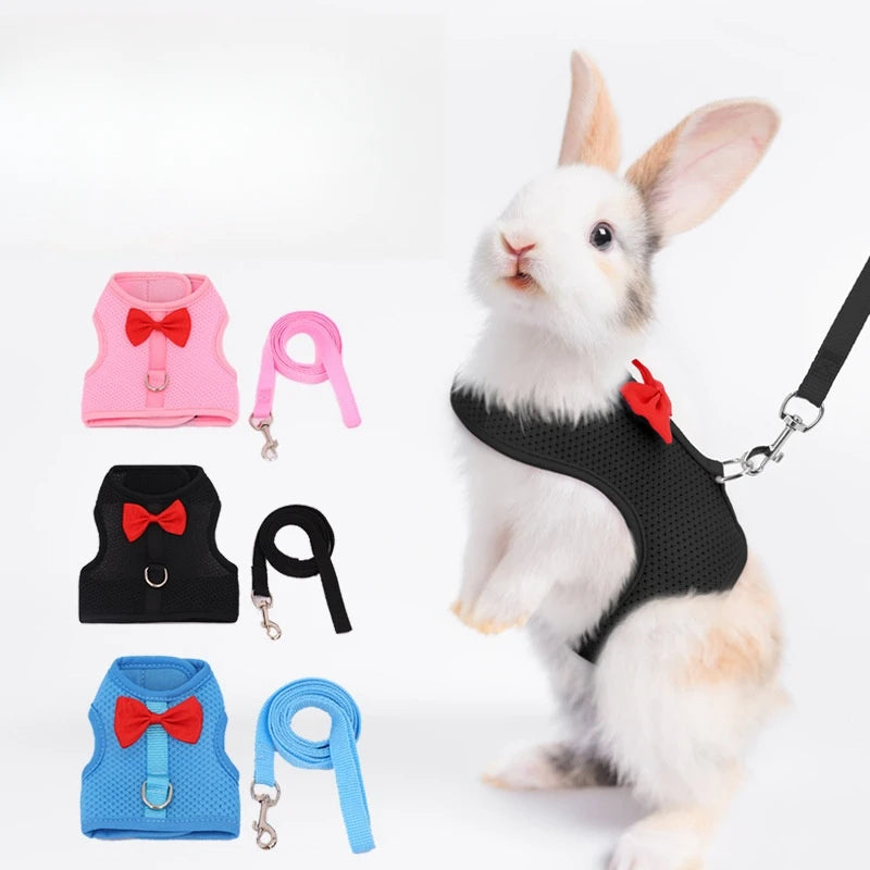 Small Animal Harness &amp; Leash Set – With Cute Red Bow