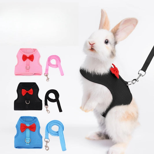Small Animal Harness &amp; Leash Set – With Cute Red Bow