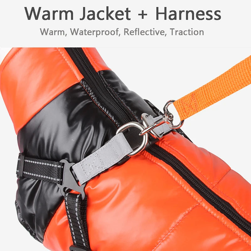 Winter Dog Jacket with Harness | Waterproof Warm Coat for Small &amp; Medium Dogs | Pet Clothes for Chihuahua, French Bulldog, and More - Ditzy Petunia