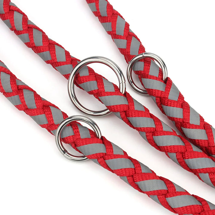 Reflective Double Dog Leash with Waist Belt – Hands-Free Walking for Two Dogs - Ditzy Petunia