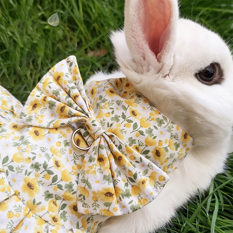 Fashion Chinchilla & Rabbit Skirt Dress – Adorable Cotton Pet Outfit