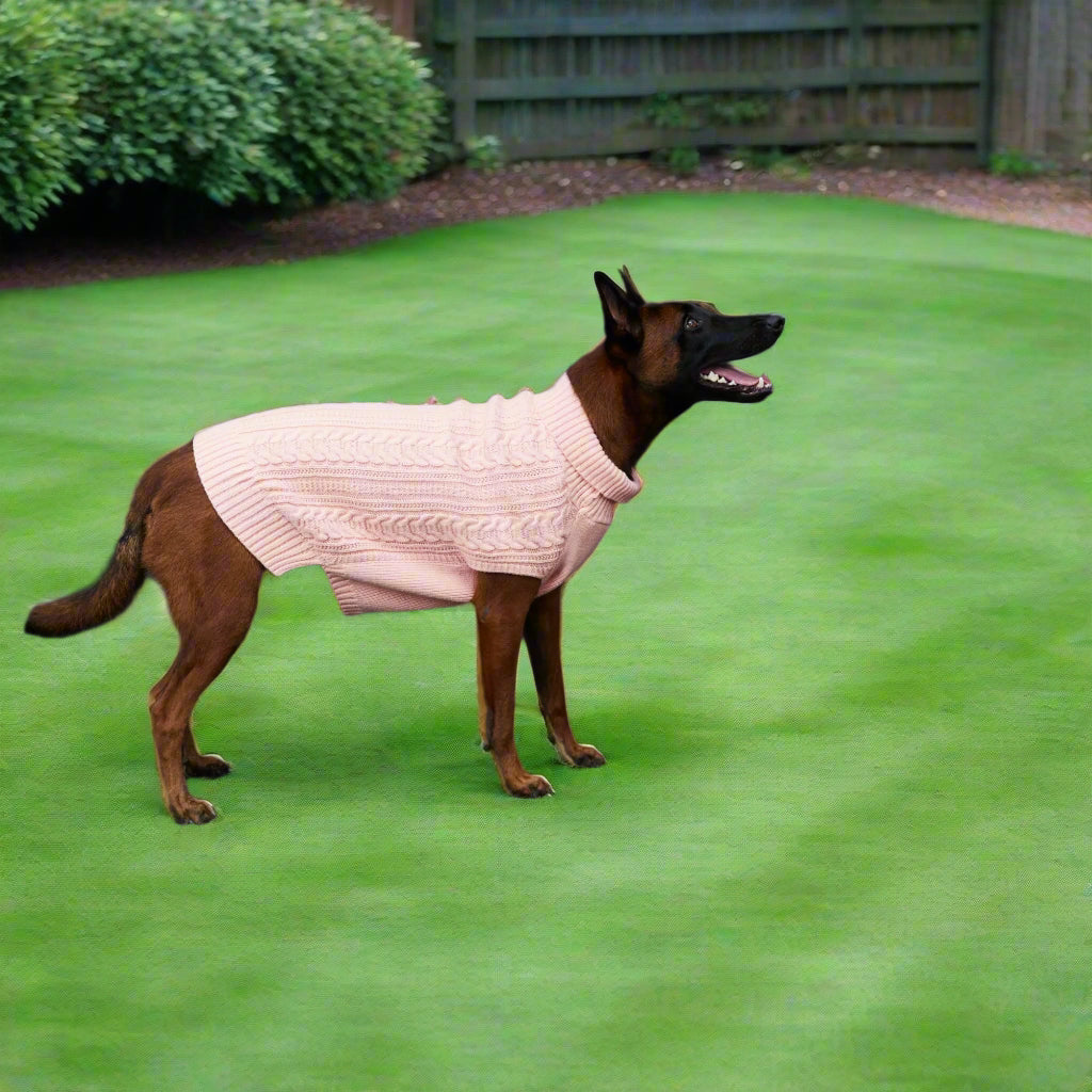 Cozy Acrylic Dog Sweater – Warm, Lightweight & Stylish for Cooler Seasons - Ditzy Petunia