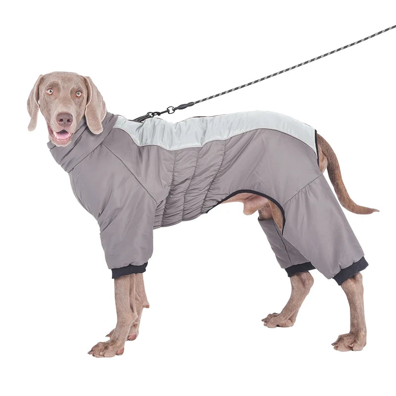 Warm Polyester Dog Jacket – Autumn/Winter Pet Coat for Medium to Large Dogs